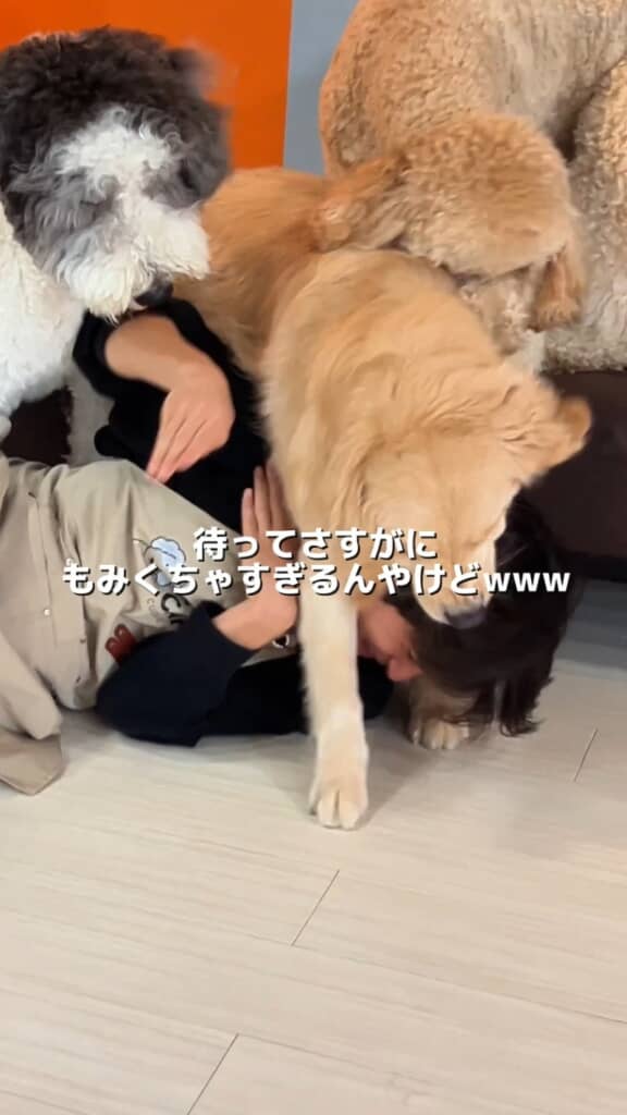 ここまで大歓迎されるのもすごいですよね
