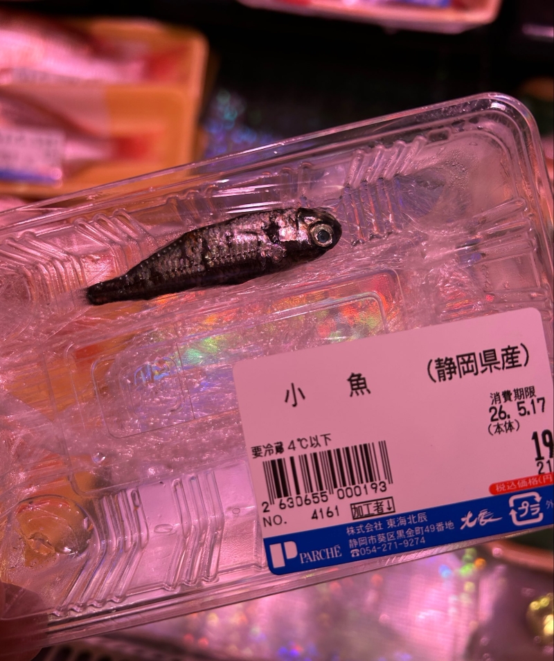 ちっちゃ！
