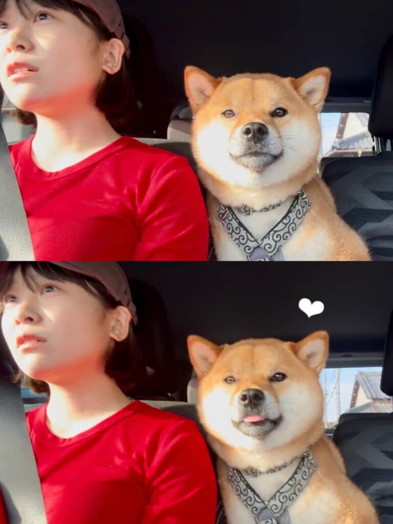 仲良しなふたりに癒される