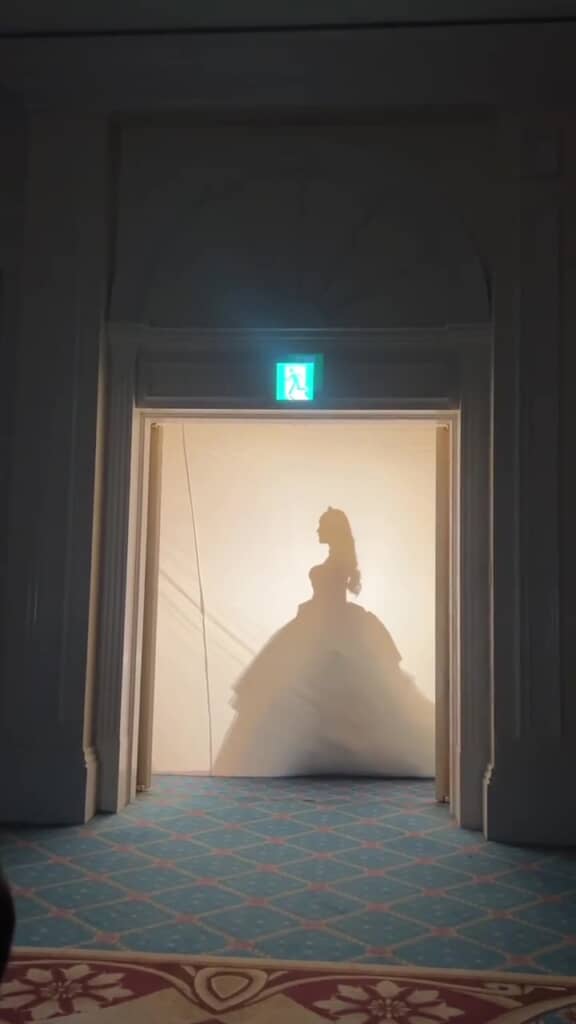 横からのシルエットがきれい