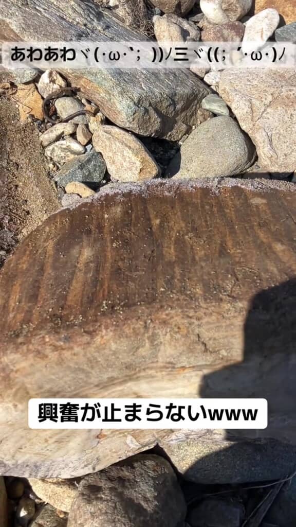 「興奮が止まらない」と大喜び