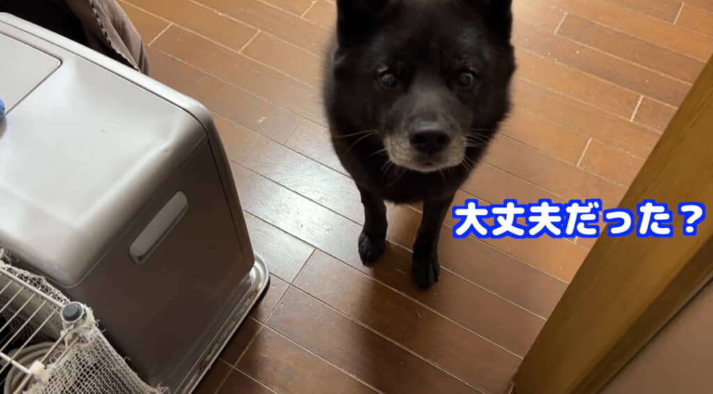 心配して待っていてくれた一休さん