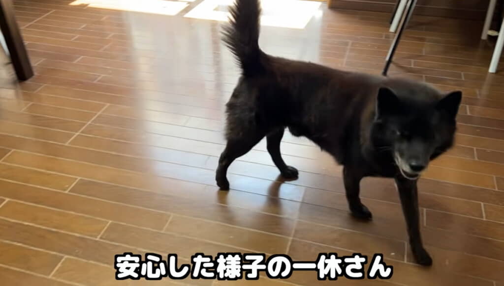 パパの言葉でひと安心