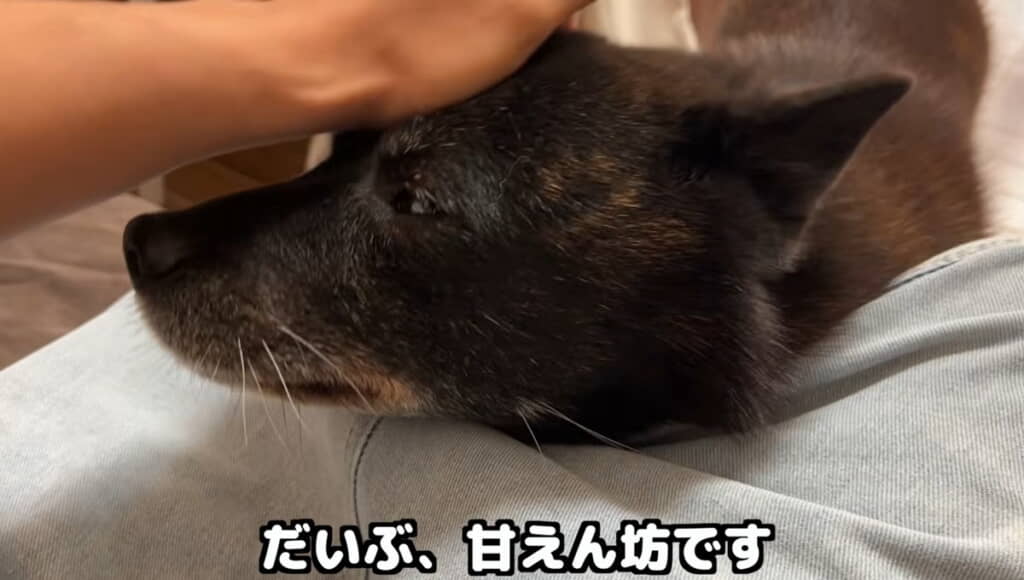 魅力たっぷりな一休さんでした◎
