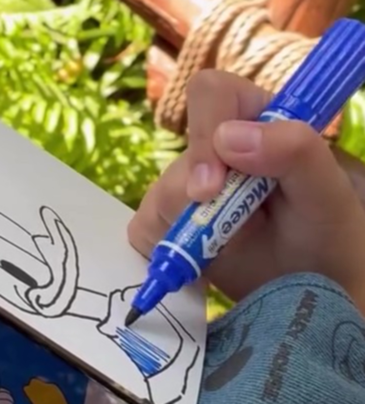 ディズニーでドナルドに出会った中学生の娘→その場でイラストを描いて見せたら……　感動の贈り物に「こんなレアモノ見たことない」（1/3） | ディズニー ねとらぼ