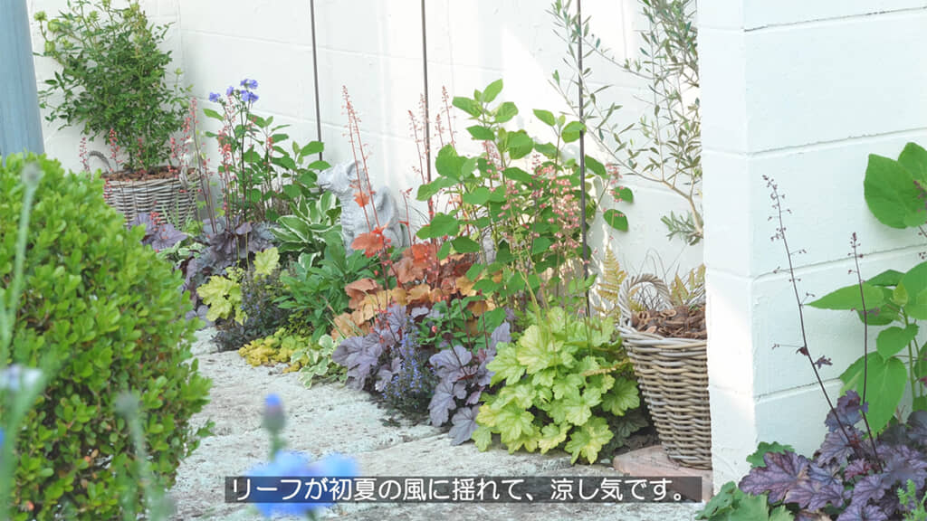 初夏の風でリーフが揺れる、素敵なお庭でした