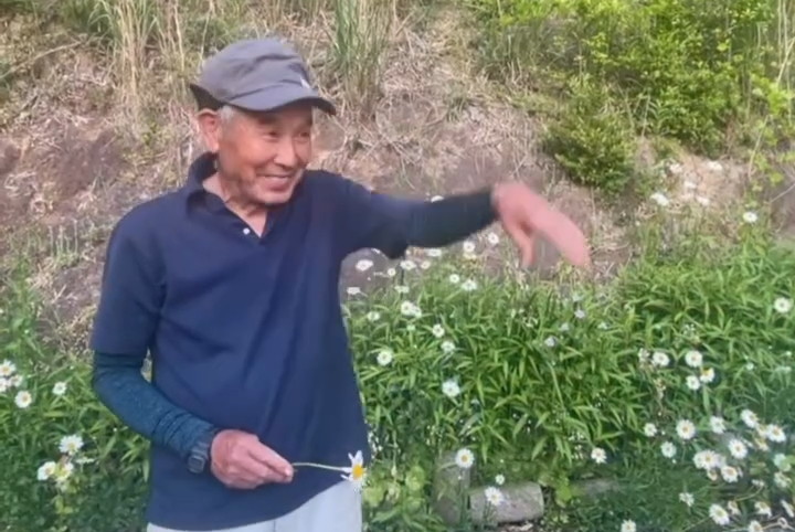 のどかな草花を背景に……
