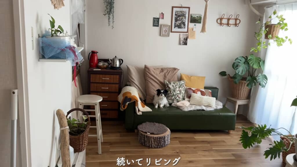 ソファと愛犬のためのスツール