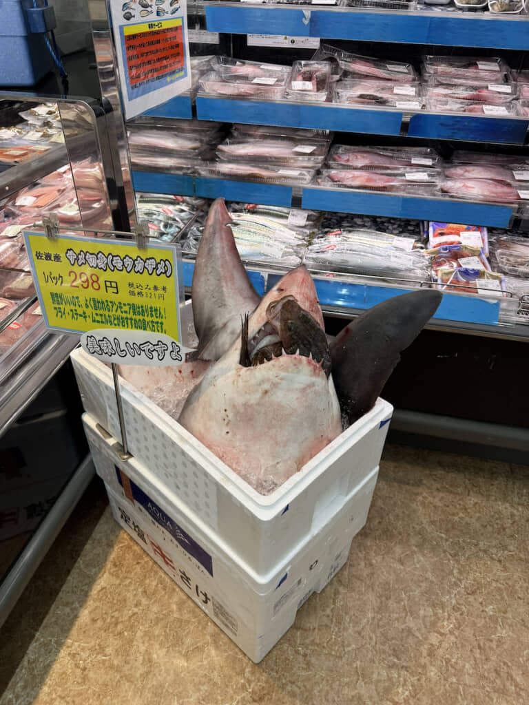 まびさん「地元のスーパーにサメいてウケる」
