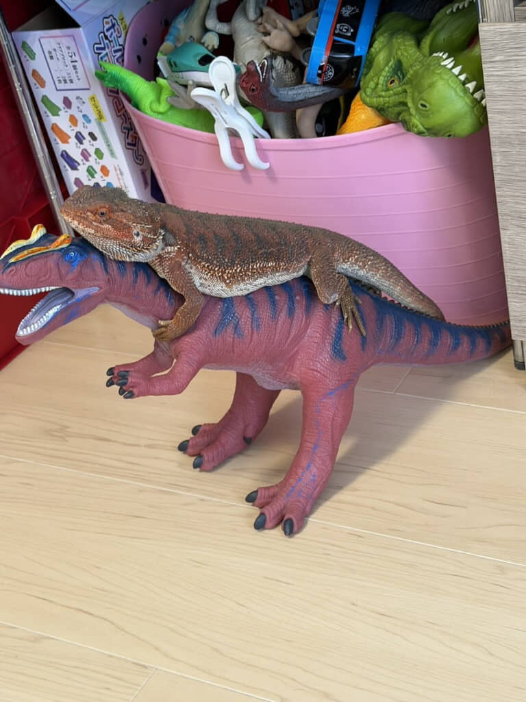 自分に似た恐竜の上に乗っていた