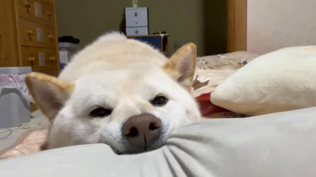怒った顔もかわいいね!