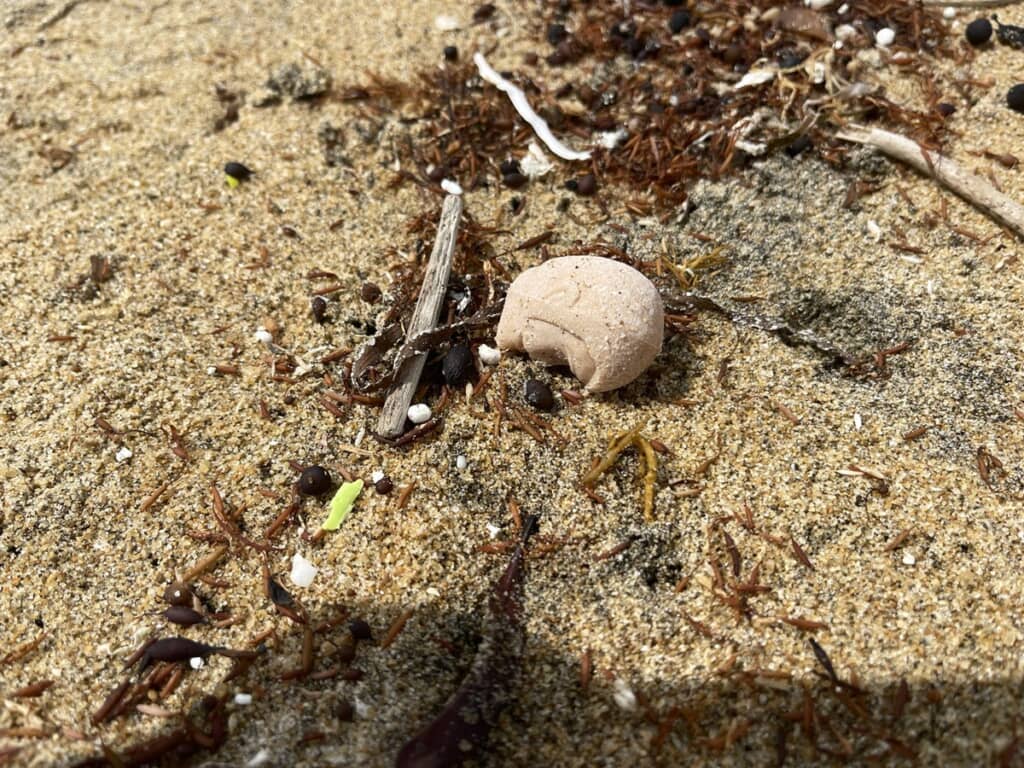 海岸に転がっているルパン三世の頭部