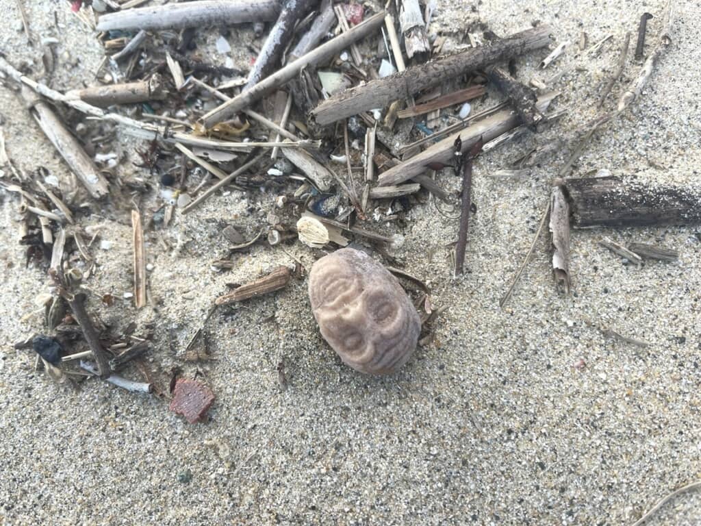 海岸に転がっている類似品の写真
