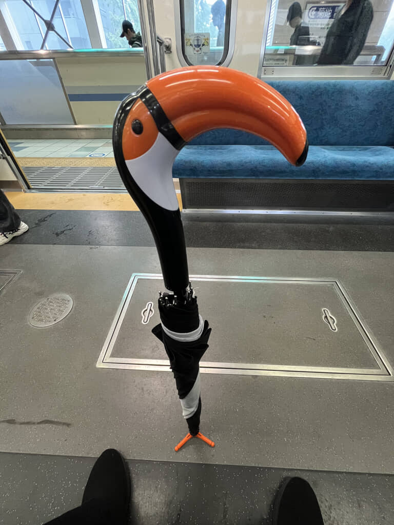 なんてステキな傘！