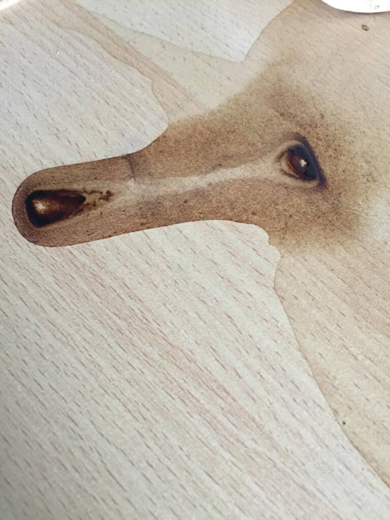 犬の横顔っぽく見える!?