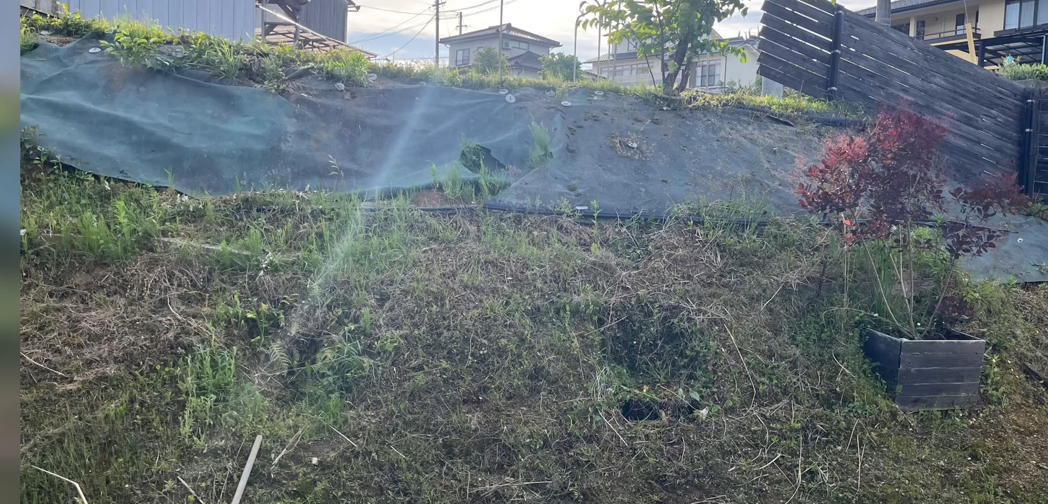 雑草生え放題だった庭の斜面→夫妻がDIYで対策したら…… 雰囲気ガラリ「すごーい!」「センスが抜群」「マネしたい」(1/3) | リフォーム・リノベーション・DIY ねとらぼ
