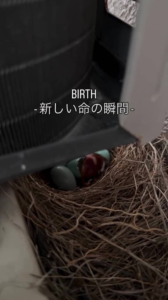 頑張って出てきた！