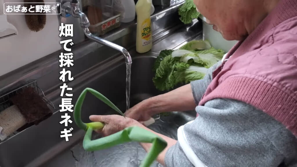 畑で採れた長ネギをお味噌汁へ