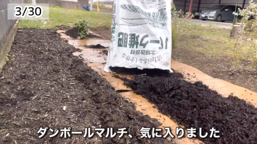 段ボールマルチを施す様子。段ボールを敷いた上にはバーク堆肥を撒いています