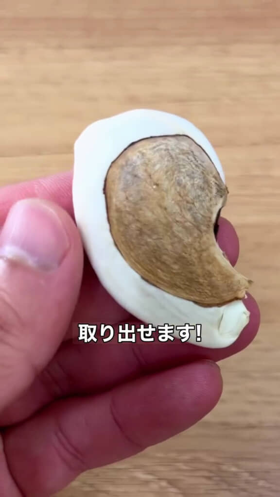 大きな種が取り出せた！