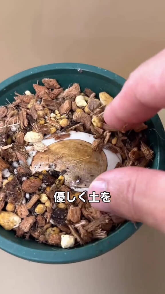 土をかけるのは少しだけ