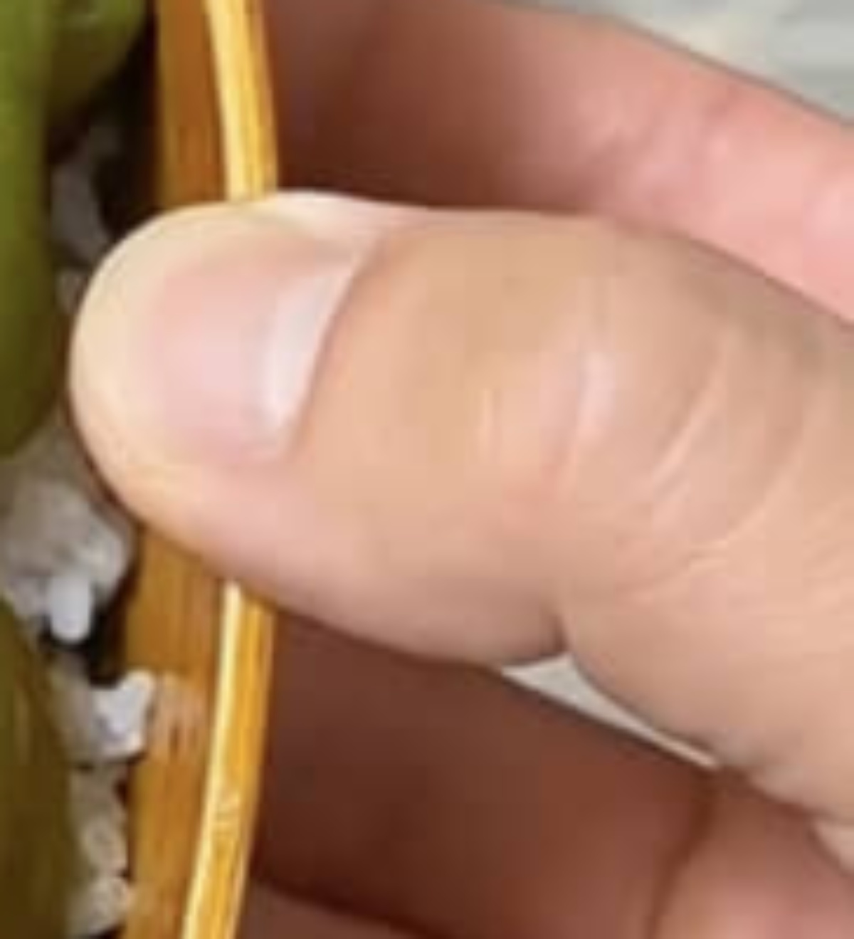 出勤する妻のため、2児パパが作った弁当を開けてみると…… 衝撃の中身に「ビール飲みたくなる」「見た目のインパクトが」(1/3) | ライフスタイル ねとらぼ