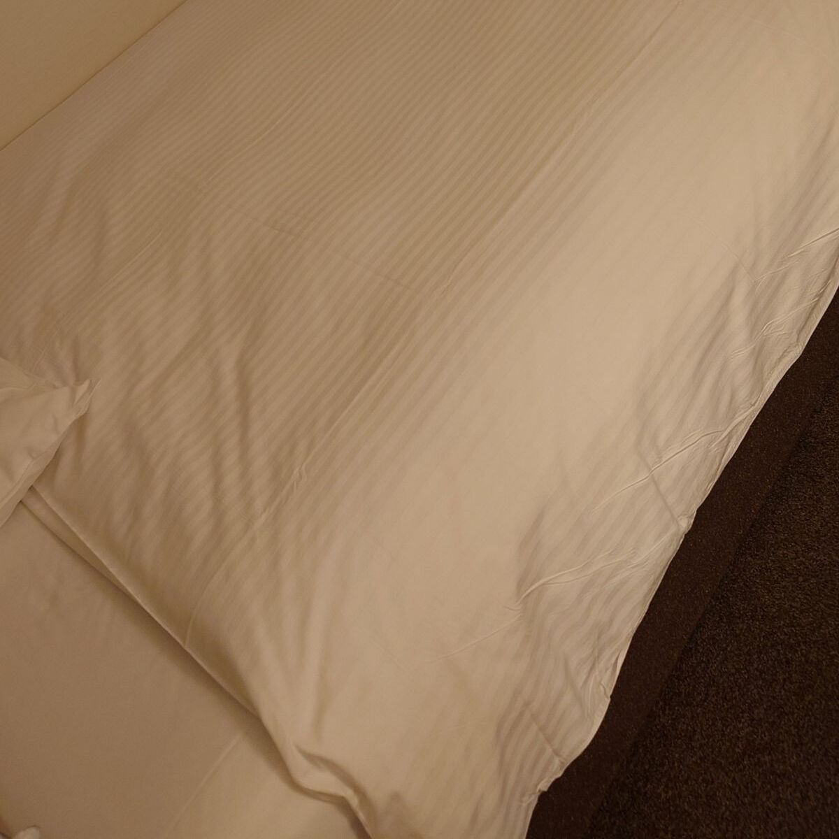ホテルに連泊→チップとして“1000円”を置いて、戻ると…… まさかの光景が428万表示「これこそ本当のおもてなし」 | ライフスタイル ねとらぼ