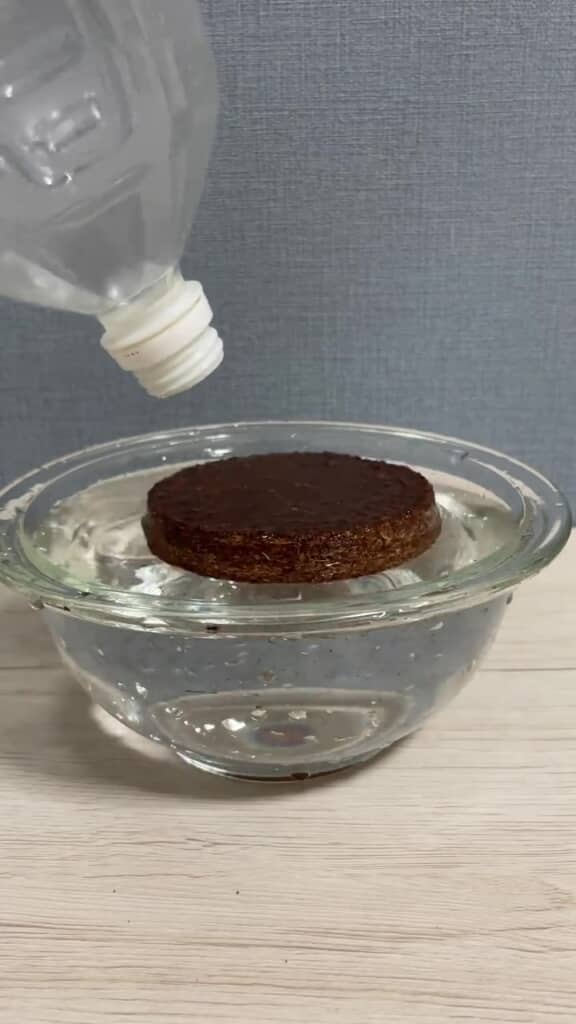水を加えて準備開始