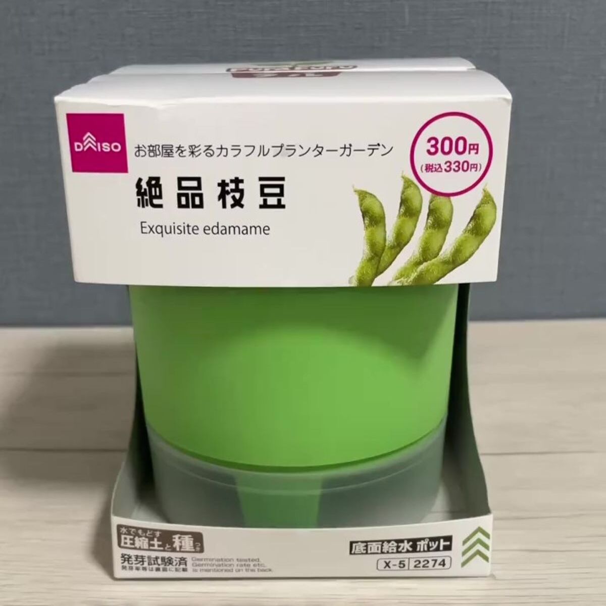 ダイソーで買った330円の“枝豆栽培キット”→室内で育てたら、36日後……　驚きの姿に「なんでこれが300円で売れるのよ！」 | ライフスタイル ねとらぼ
