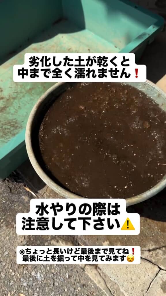 染み込まず表面にたまった水