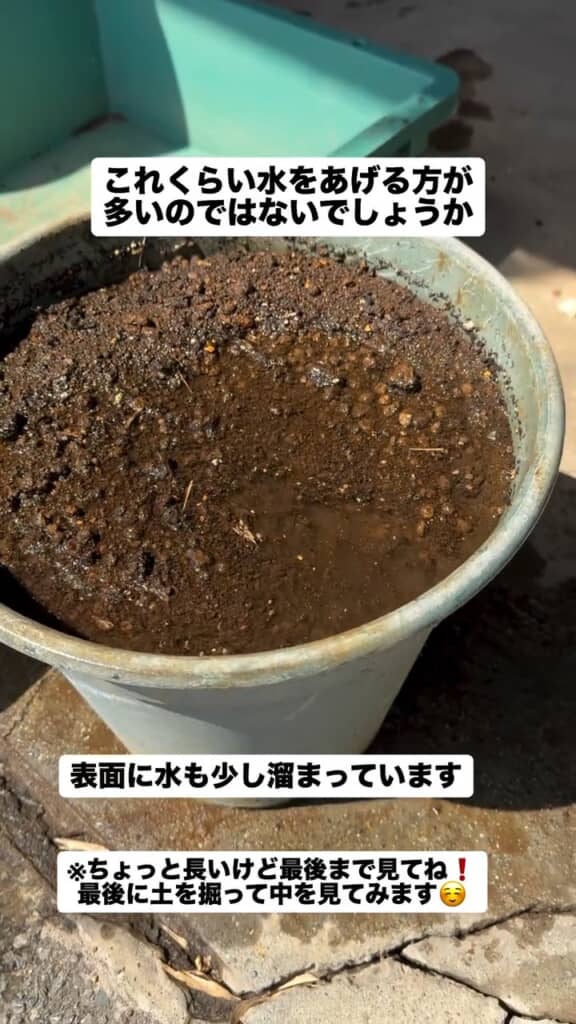 ゆっくりと水が浸透中