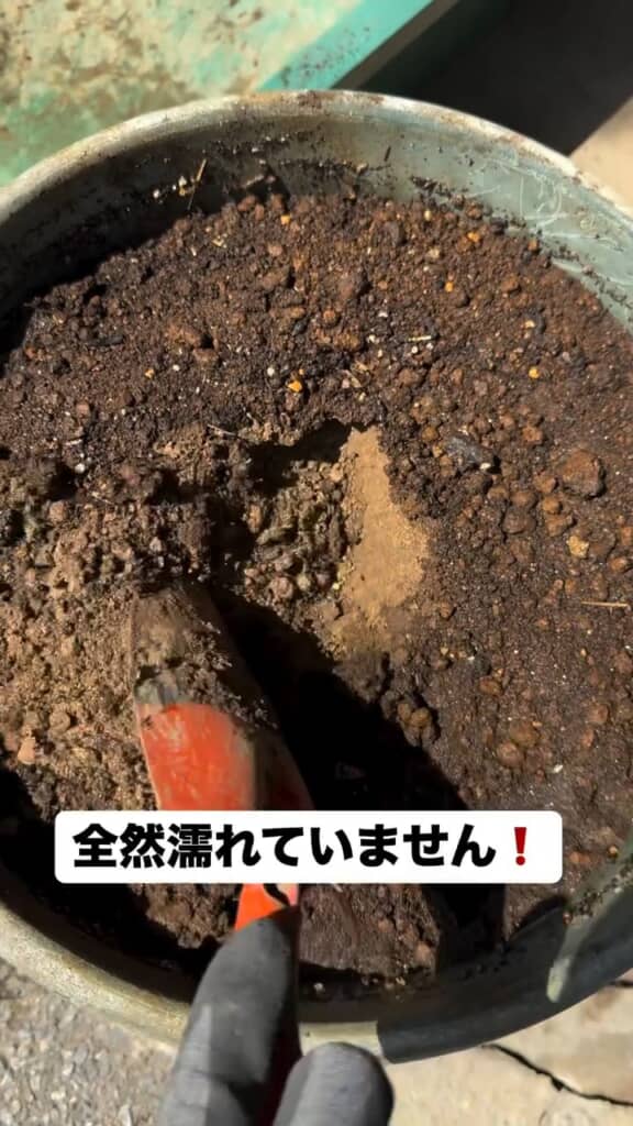 スコップで掘って中の様子を確認