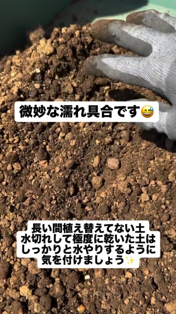 全体で見てもぬれ具合は足りない状態