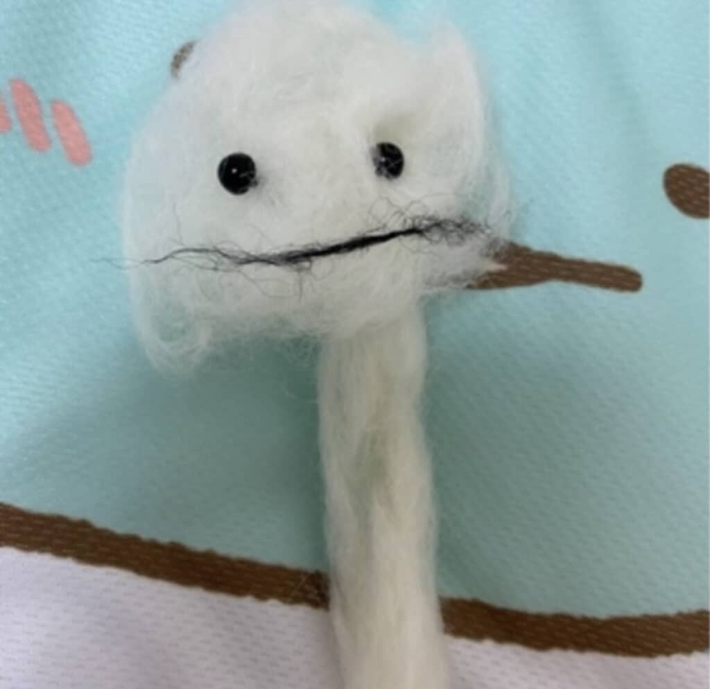 完成したシロイルカ……ではない何か