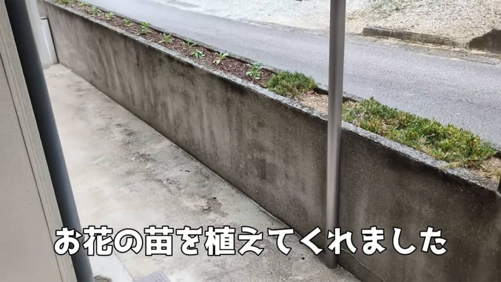 ご近所さんが花の苗を植えてくれました