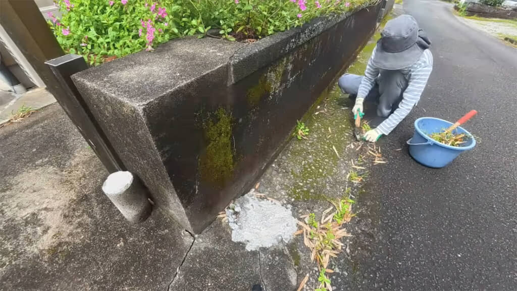 黙々と雑草を抜いて
