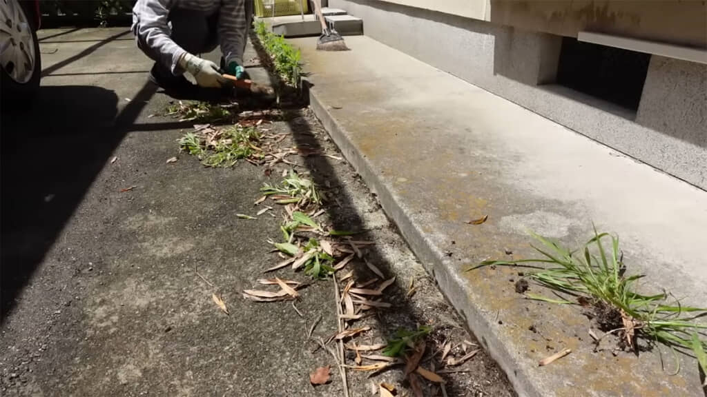 駐車場前の雑草も抜いて