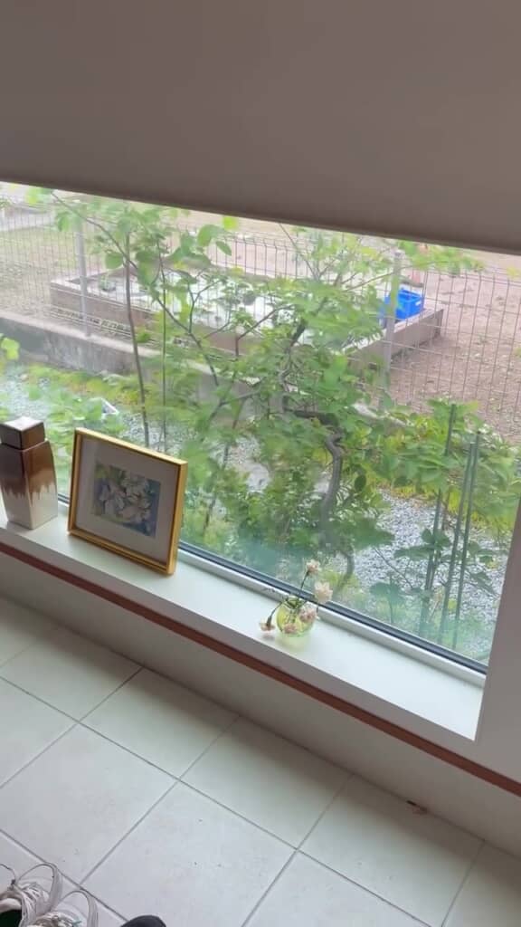 残されたヘビ