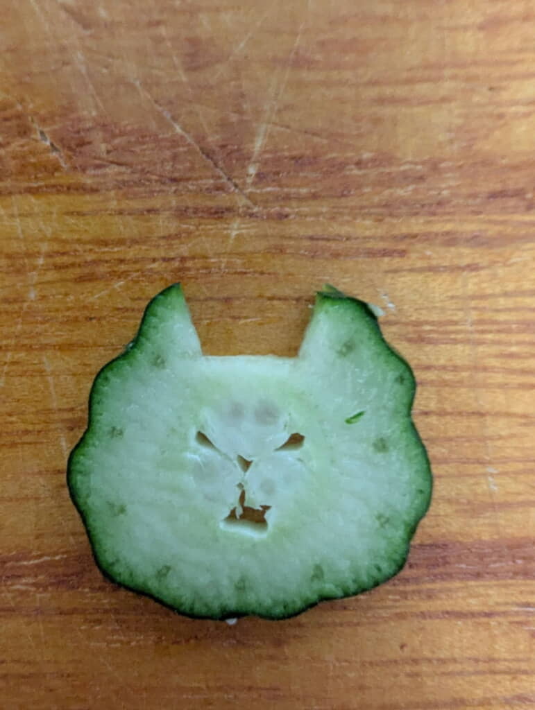 耳出現