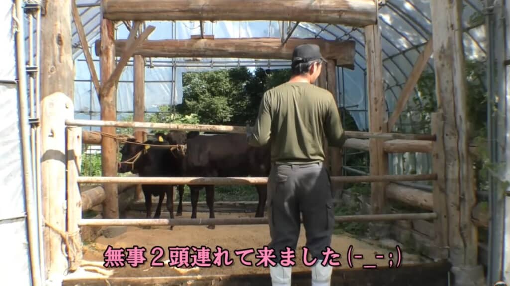 やっとパドックの入り口に到着