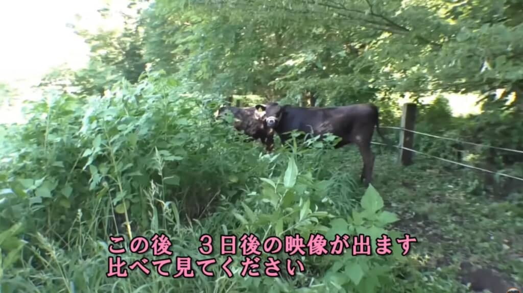 ここからどう変化する？