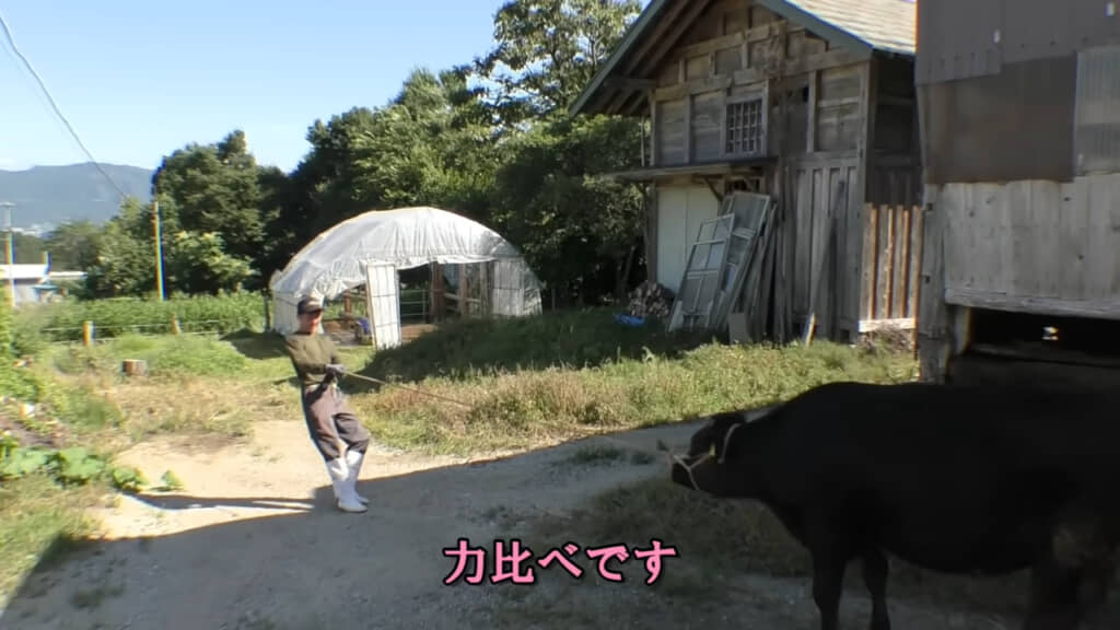 移動に一苦労