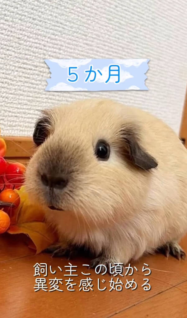 おや……？