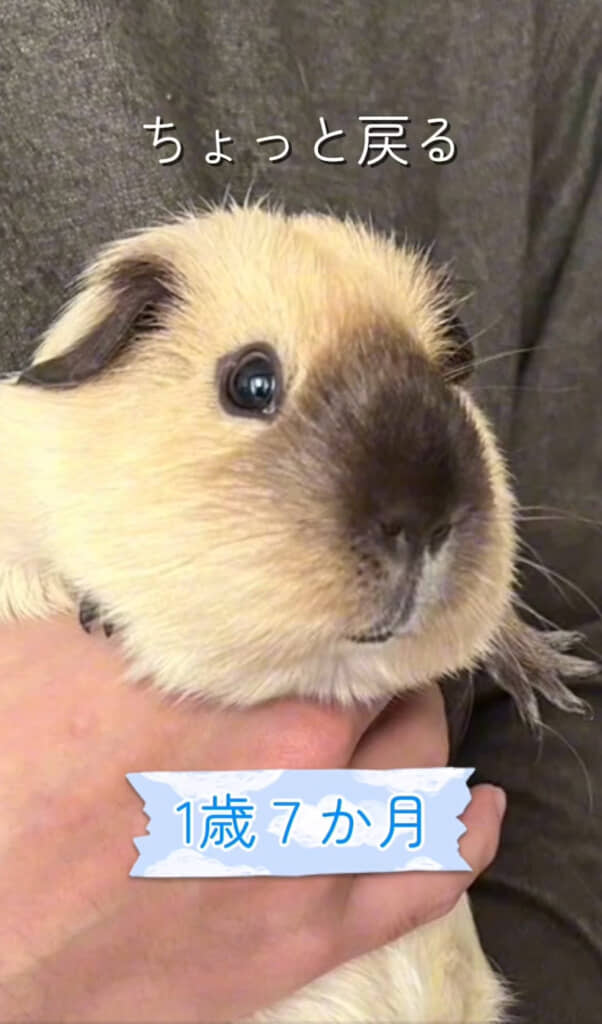 色が戻ってきた