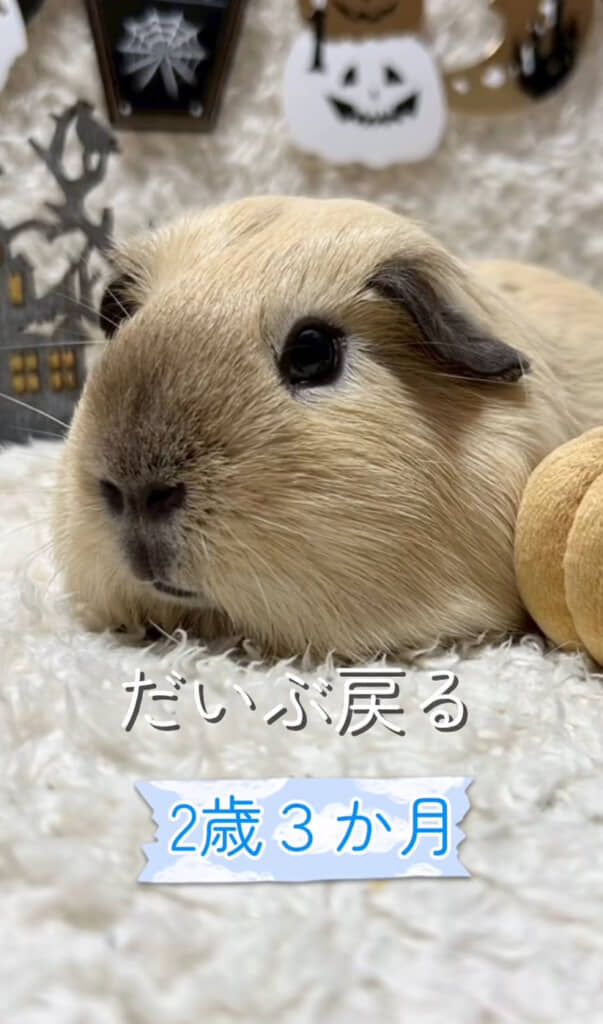 薄くなったね