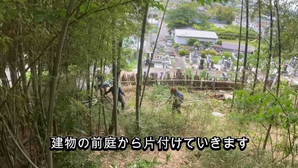 竹だらけになった庭を伐採
