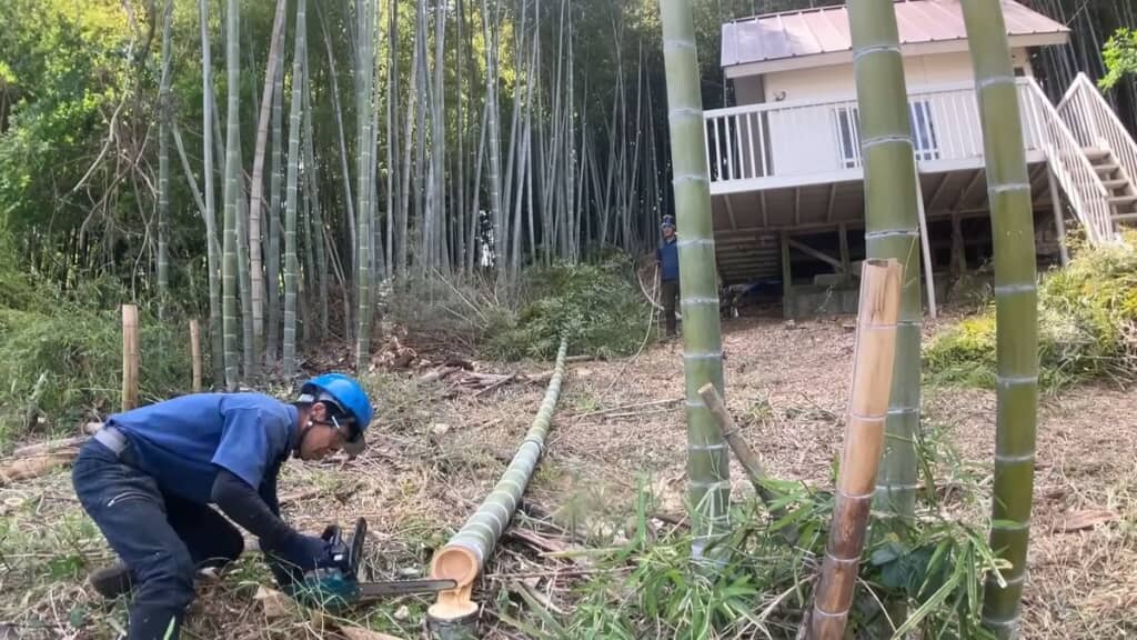 家に届くほど長い竹