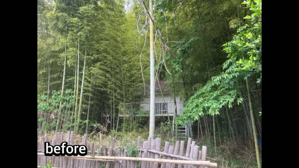 竹に囲まれてよく見えない伐採前の建物