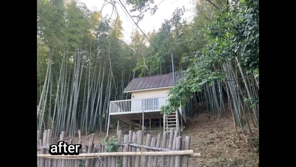 竹がなくなった伐採後の建物