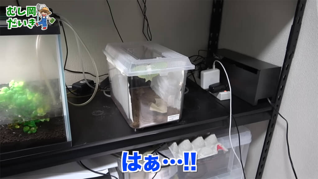 ケースの中には……